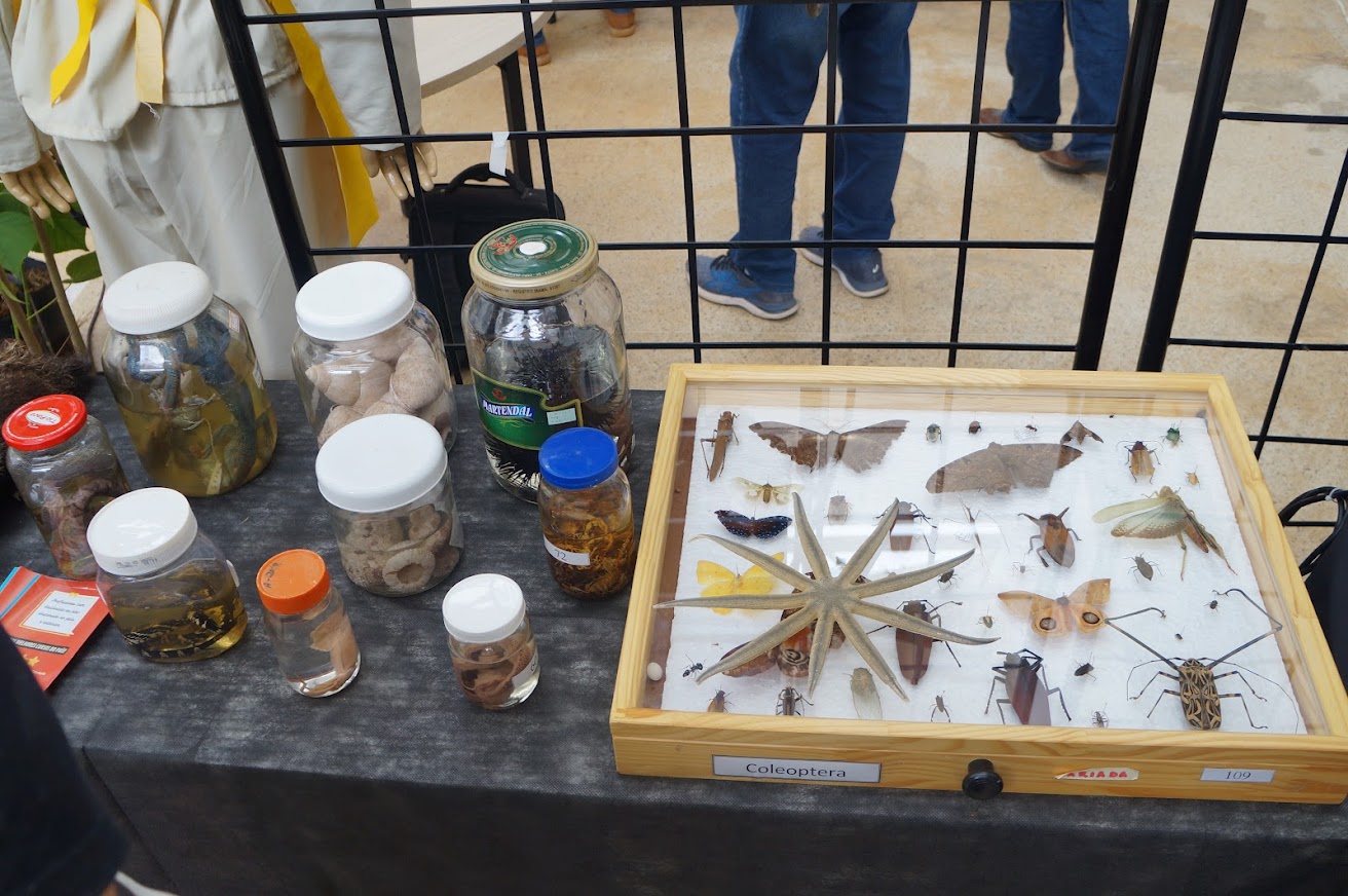 Foto Mostra Cultural UFV 2023
